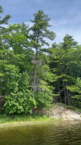 Bone Island of Georgian Bay Islands National Park with rocky shore and towering pines
