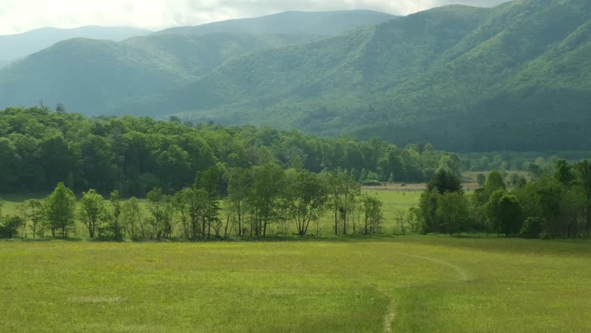 panorama of a green meadow in front of a forest and mountains in the background