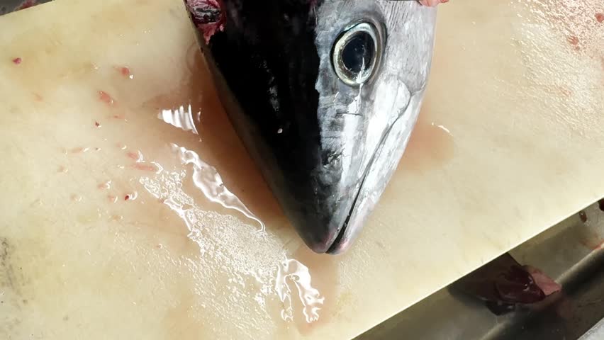 Chef inserts a knife into a bluefin tuna head to break down the collar