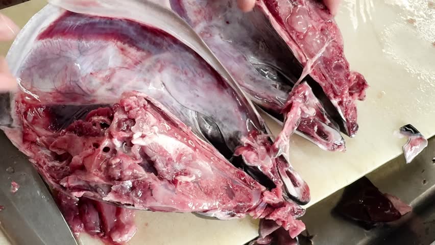 Chef finishes breaking down a bluefin tuna head showing the collar cross section