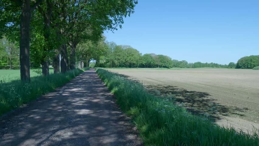Sunny rural scene moving along a tree-lined dirt road next to a plowed field