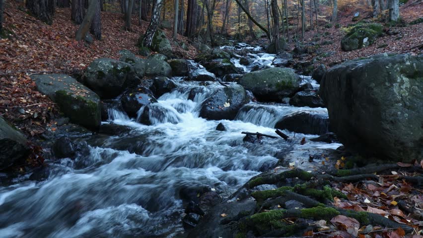  Scenic mountain stream flowing through an autumn forest
