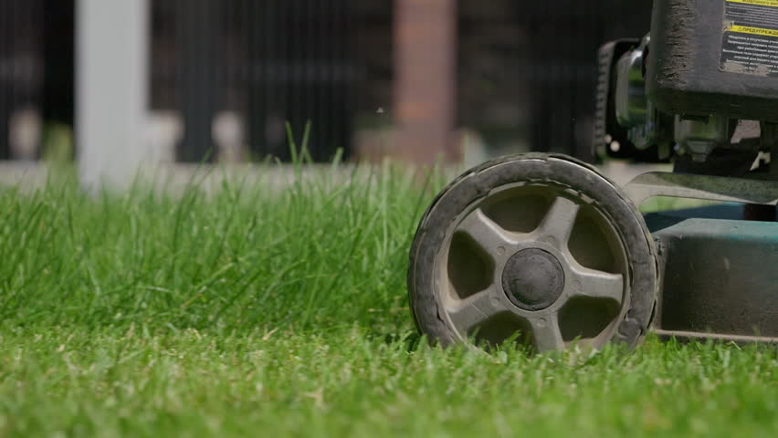 Lawn mower cutting residential lawn in close up