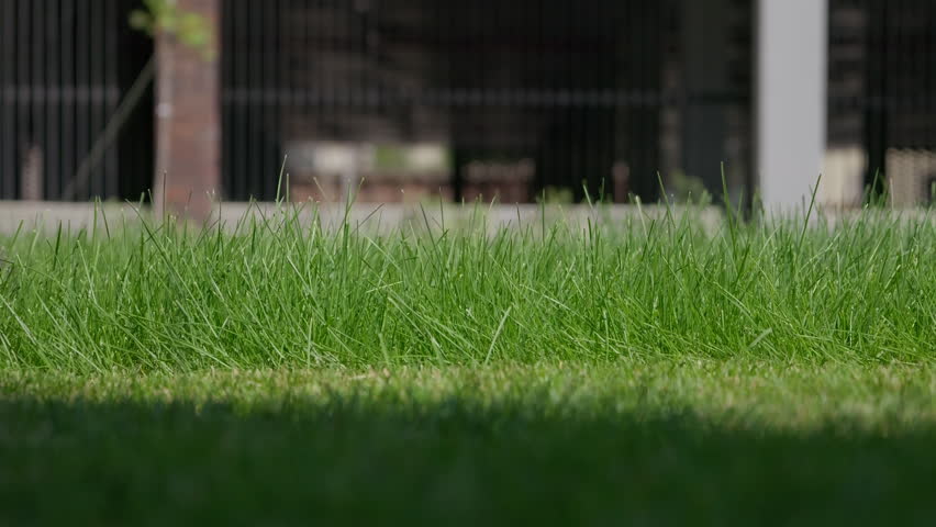 Lawn mower entering frame to cut grass in residential courtyard