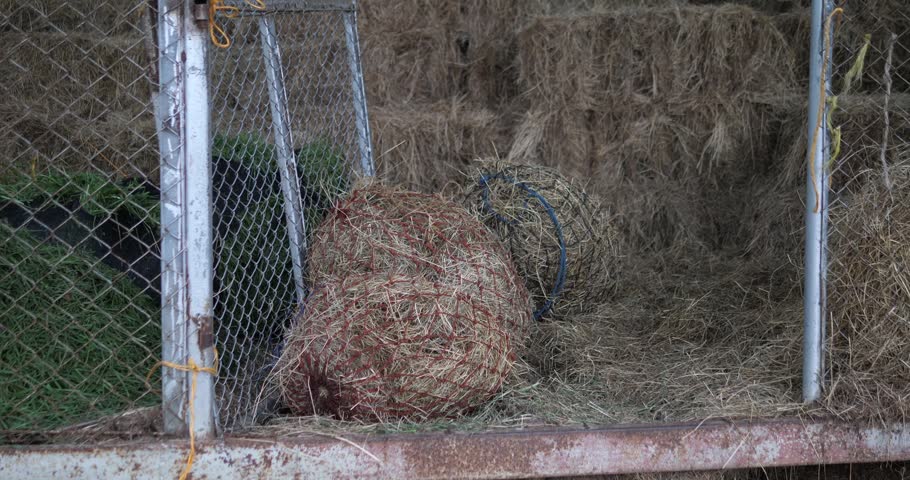 Straw bales and hay nets stored behind a chain link fence