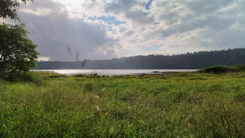 Scenic Lake Landscape with Green Grass Field and Cloudy Sky