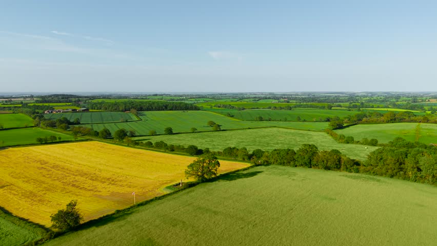 Patchwork agricultural landscape spreading across fertile countryside hills. Broad crop fields and grazing meadows forming vibrant rural scenery beneath bright daytime sky. Spring farmland patterns