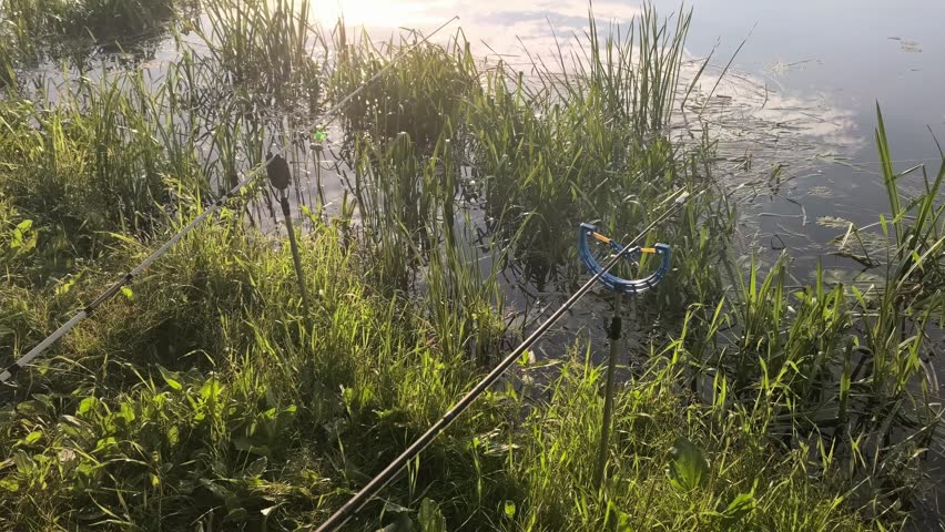 Two fishing poles are placed near the edge of a lake with green grass and plants around. The water is still and reflects the sky above while it is daytime.