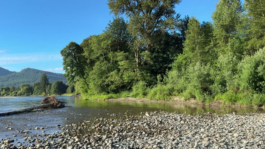 Video of a Washington state Cascade mountains with the Skagit river during early summer season 
