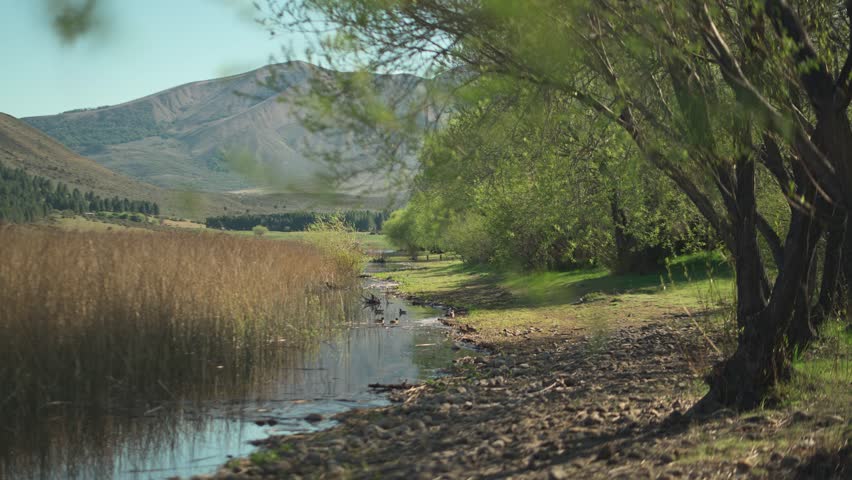 Man in a yellow jacket walking along a dirt trail through a lush, green woodland next to a calm lake, outdoor lifestyle scene.