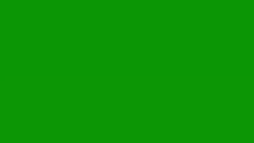 Two birds flying in the sky red flower on arrow it snow isolated on green screen background