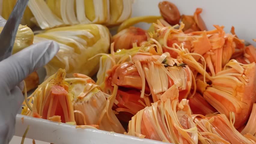 Fresh ripe jackfruit cut in half with yellow bulbs wooden table.