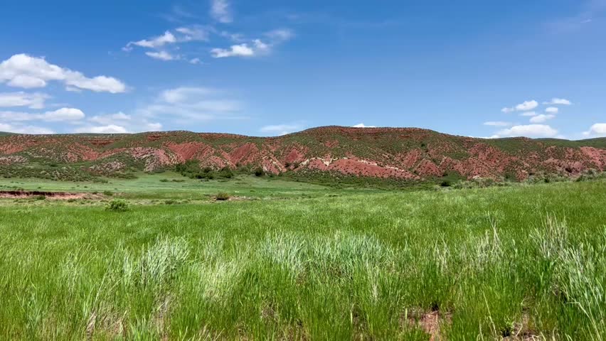 Lush green grassland meadow stretches toward eroded red rock hills under a bright blue sky with scattered clouds in the American West.