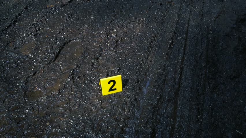 Yellow forensic evidence marker with the number two placed on a wet, muddy road next to a footprint and tire tracks during a criminal investigation, marking important clues at the scene of a crime