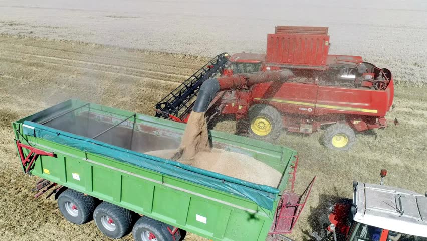 Grain harvesting in action as combine harvester transfers crop into trailer on expansive rural farmland. Clear sky provides a stunning backdrop for agricultural activity.