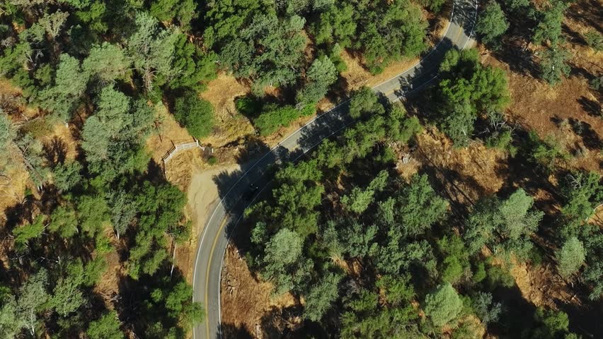 A winding road cuts through a dense forest in the USA. The landscape shows various trees and brown patches. Sunlight casts shadows on the road and surrounding area.