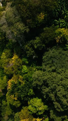 Grutas Tolantongo In Hidalgo, Mexico, Featuring The Natural Canyon Landscape With Thermal Spring Waters And Rocky Surroundings - Drone, Vertical Shot