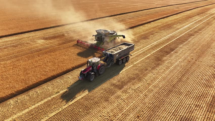 Aerial view of a combine harvester unloading grain into a tractor trailer while cutting golden wheat across expansive fields