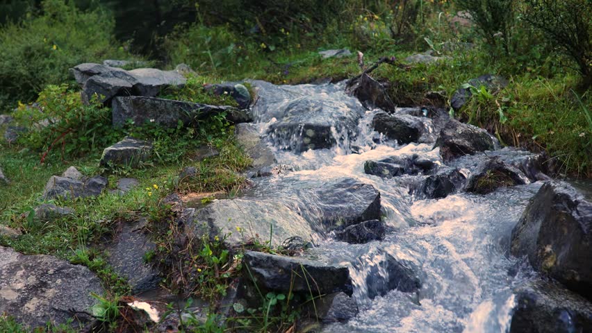 Fresh water streams over smooth rocks in a green landscape. The sound of rushing water fills the air as plants surround the flowing stream. Sunlight brightens the scene.