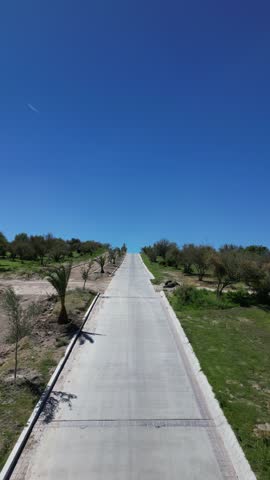 Aerial vertical view of a curved private road lined with palm trees leading toward a clubhouse in a gated community, central Mexico