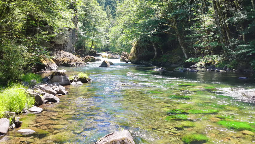 Clear water flows down the Clackamas River in Northwestern Oregon, not far from Salem. Originating in the Mt. Hood National Forest, this beautiful 83-mile river is a tributary to the Willamette River.
