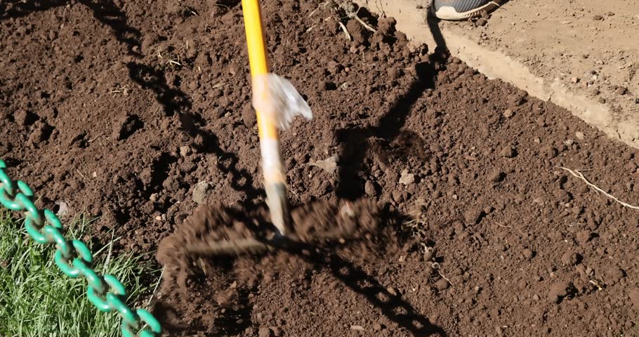 Gardener works soil in home garden with rake, prepares soil for transplanting 