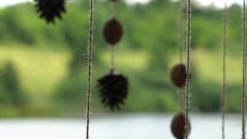 This shows making a simple craft with pinecones and string by a lake. The focus is on the natural items hanging.