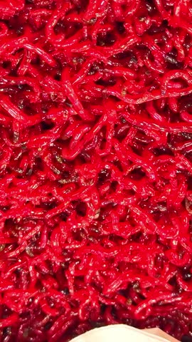 Red bloodworms wriggle and move actively in a close-up macro shot, showing their vibrant red bodies and segmented forms.