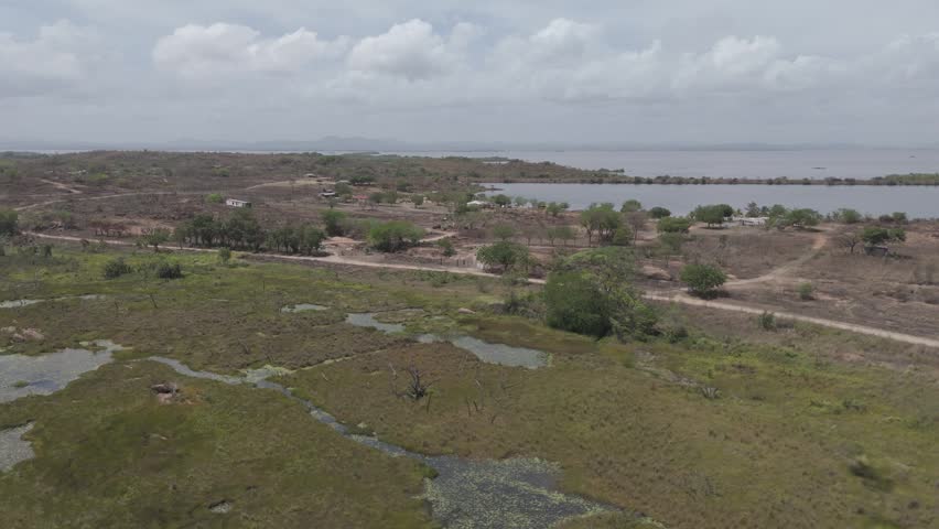 Drone shot showcasing a tropical marshland ecosystem and marsh vegetation under a cloudy sky.
