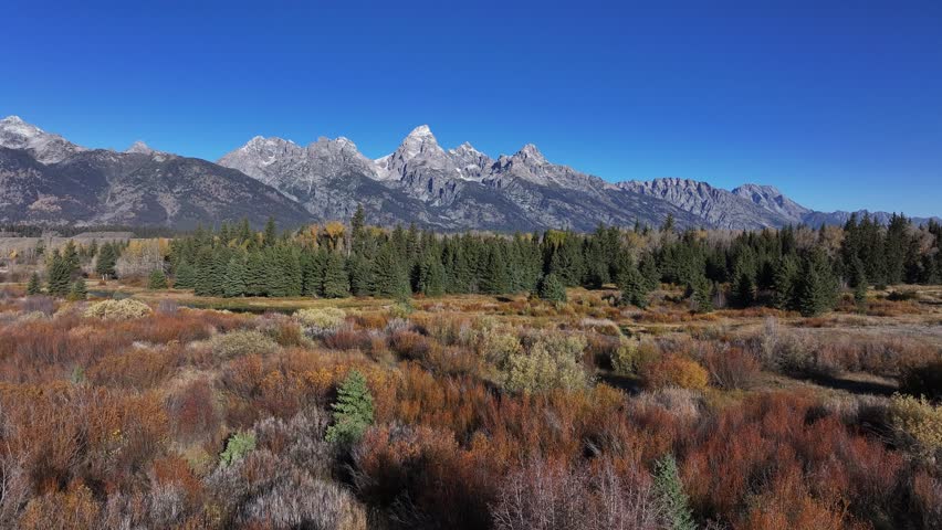 Aerial view of natural landscape of Grand Teton national park,USA