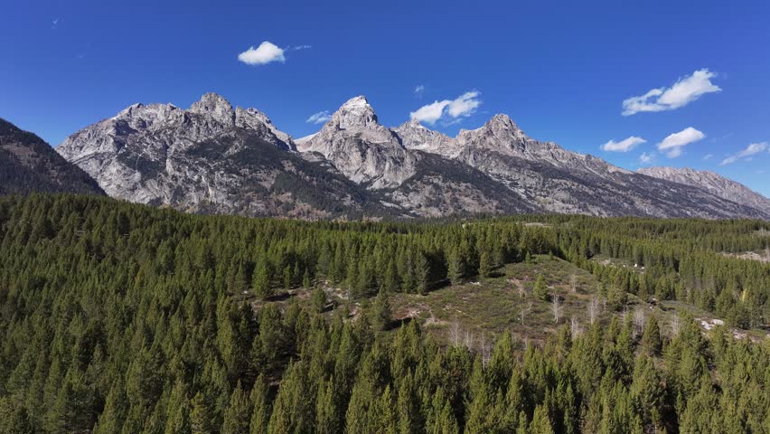 Aerial view of the natural scenery of forests and rivers in Grand Teton National Park, USA