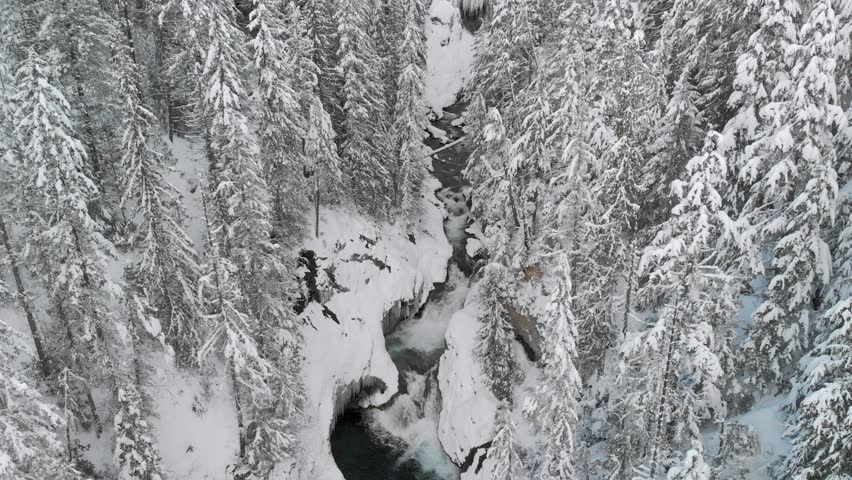 Cinematic drone shot flying over icy mountain stream surrounded by snow covered evergreen trees. Dynamic overhead footage of winter wilderness landscape and flowing water rapids.