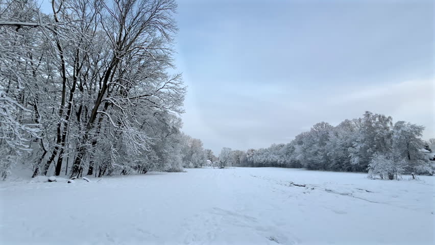 Winter landscape with snowy forest. Peaceful nature scene with snow covered trees and calm seasonal atmosphere.