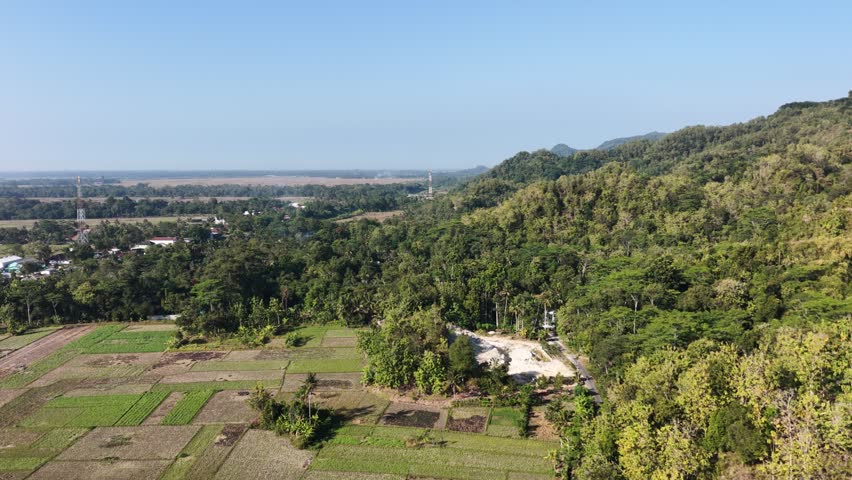 Aerial view of a hillside forest with fields and a winding road showing lush vegetation and expansive landscape scenes