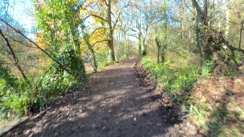 Walking POV along woodland path at Manor Farm Country Park in Hampshire. Autumn trees, shaded trail, and surrounding greenery creating peaceful nature walk through forest landscape