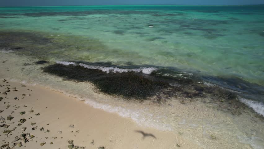 Aerial Dolly Out of Tropical Island in Los Roques with Queen Conch Shell Piles, Venezuela