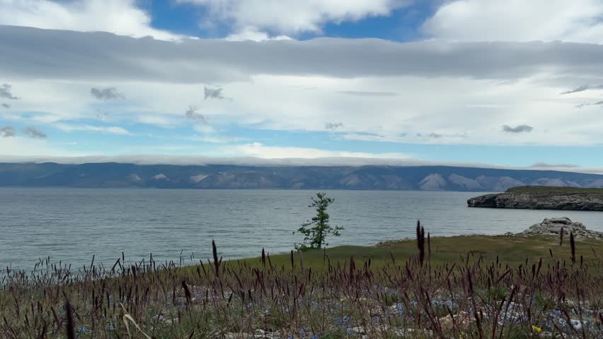A wide shot of Lake Baikal with a lone tree on the shore, mountains in the distance, and a cloudy sky in Olkhonsky District, Russia