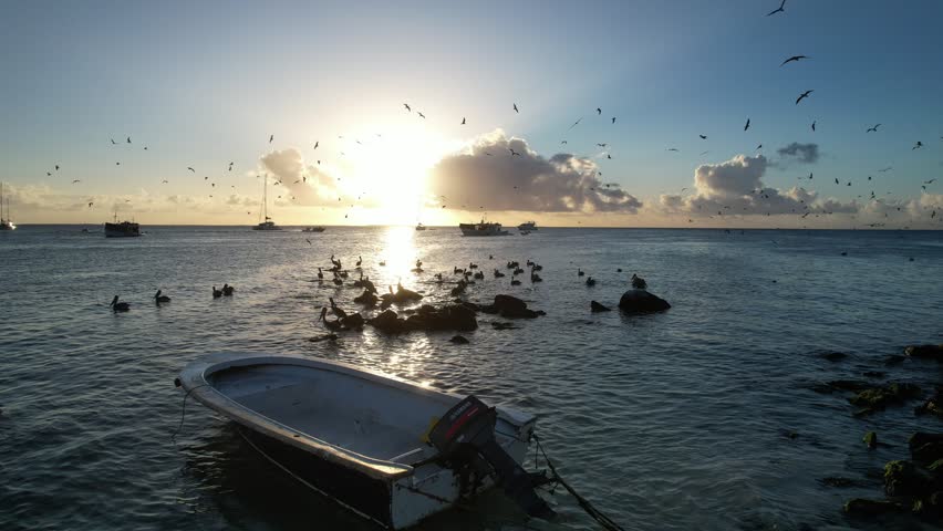 Aerial view of Los Roques archipelago at sunset with birds flying over the sea and boats in the distance, Los Roques, Los Roques, Venezuela.