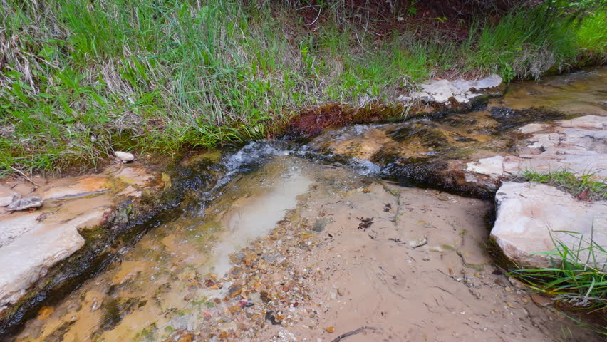 Shallow stream flows through grassy riverside habitat in a lush canyon setting in the desert
