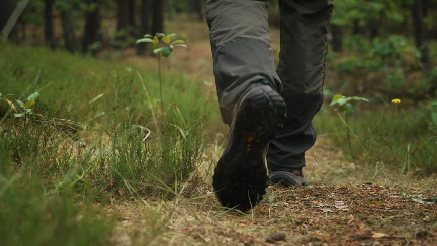 Rear view of male person walking through pine woodland in slow motion. Cinematic gimbal follow close-up shot showing hiking, forest trail, outdoor recreation, wilderness exploration and nature travel