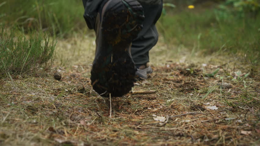 Rear view of male person walking through pine woodland in slow motion. Cinematic gimbal follow close-up shot showing hiking, forest trail, outdoor recreation, wilderness exploration and nature travel