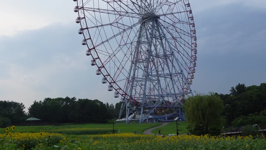 Sunflower field and the giant Ferris wheel at Kasai Rinkai Park in Tokyo, Japan, during summer under a cloudy sky.