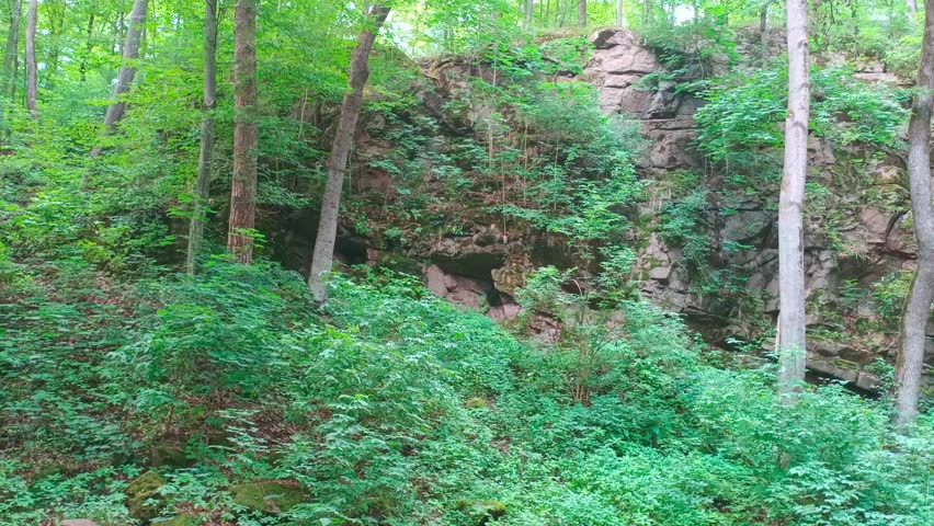Summer Forest Landscape with Rocky Cliffs