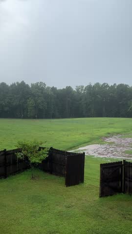 Looking at the backyard during a raining summer day in Alabama 