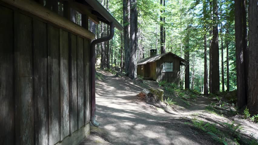 Discover cabins and trails in Mendocino Woodlands State Park in Mendocino California surrounded by tall trees and nature.