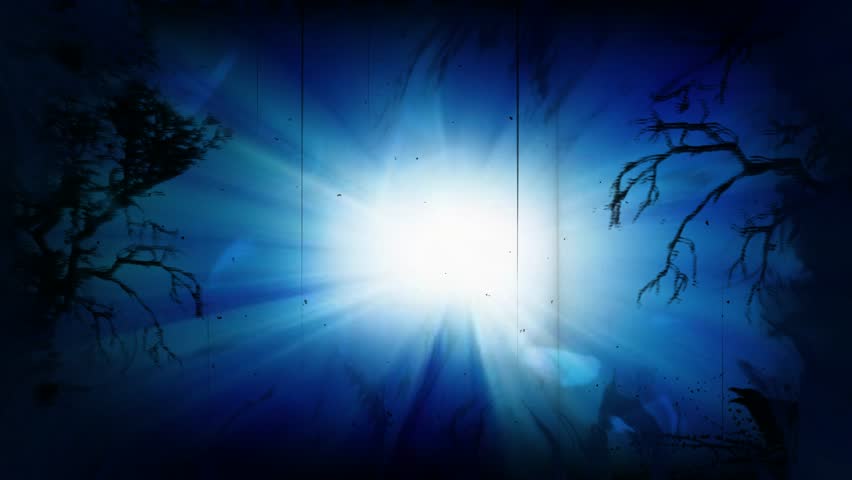 This video features a dark and mysterious forest scene with a brilliant glowing light source emanating through twisted tree branches in a cinematic blue-tinted atmosphere