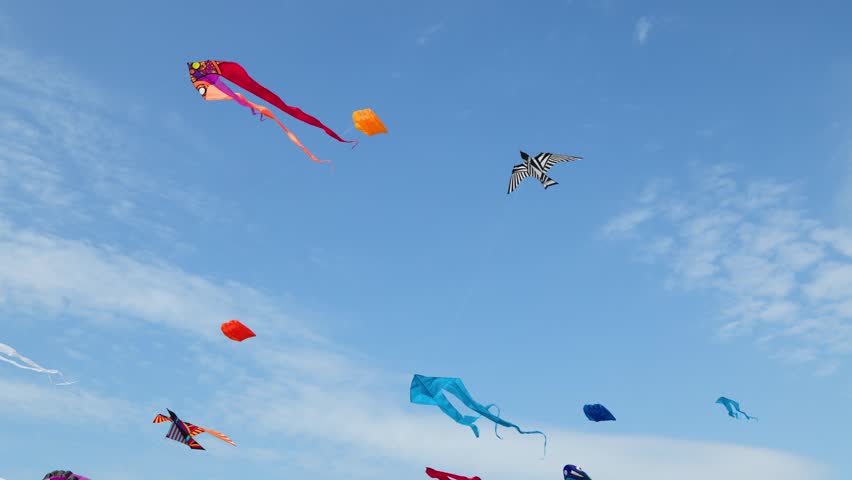 Summer Sky Spectacular: Vibrant International Kite Festival Promo