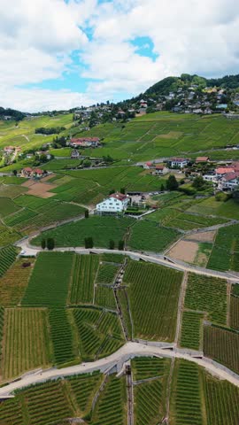 Aerial view of Domaine de la Crausaz surrounded by terraced vineyards and lush green hills under a blue sky in Bourg-en-Lavaux, Vaud, Switzerland.