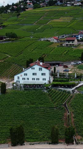 Aerial view of Domaine de la Crausaz surrounded by lush green terraced vineyards in the Lavaux region of Bourg-en-Lavaux, Vaud, Switzerland.