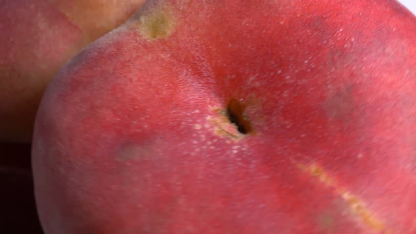 Close-up of fresh flat Saturn peaches rotating on a white plate, showcasing their fuzzy red skin and unique donut shape under bright studio lighting.